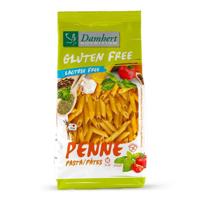 DAMHERT GV PASTA PENNE 250GR