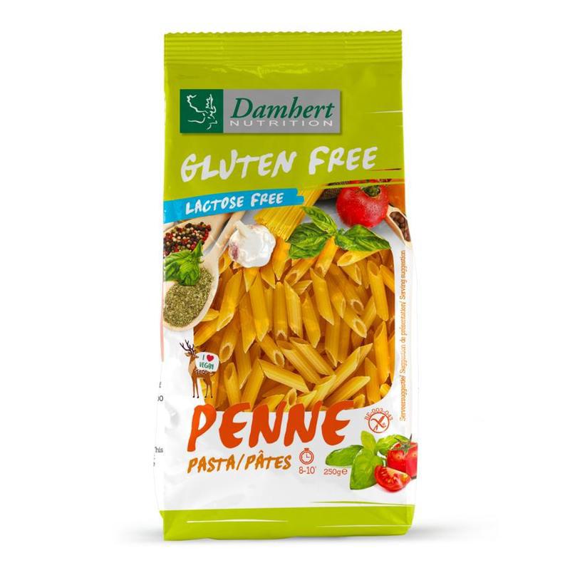 DAMHERT GV PASTA PENNE 250GR
